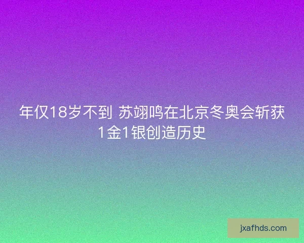 年仅18岁不到 苏翊鸣在北京冬奥会斩获1金1银创造历史
